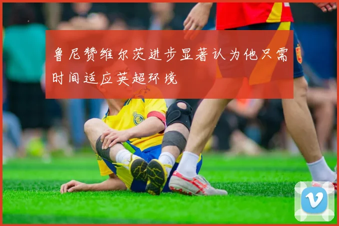 鲁尼赞维尔茨进步显著认为他只需时间适应英超环境