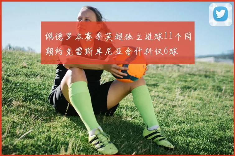 佩德罗本赛季英超独立进球11个同期约克雷斯库尼亚舍什科仅6球