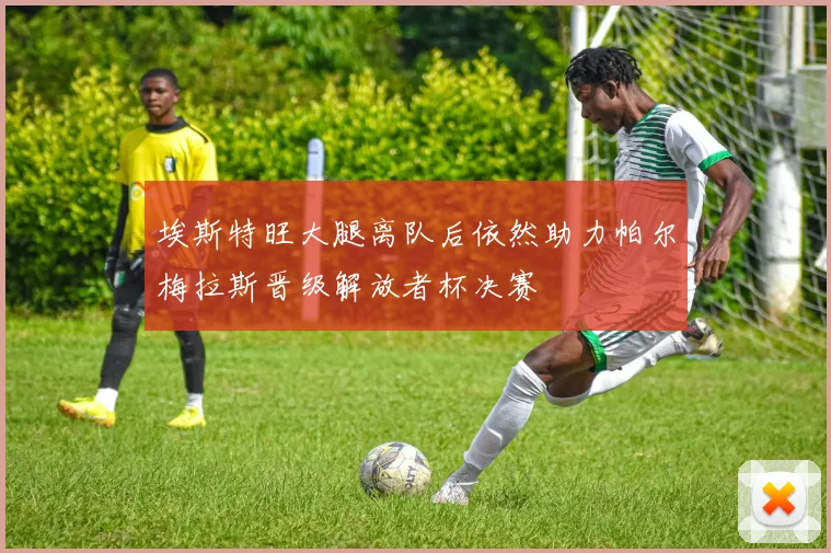 埃斯特旺大腿离队后依然助力帕尔梅拉斯晋级解放者杯决赛