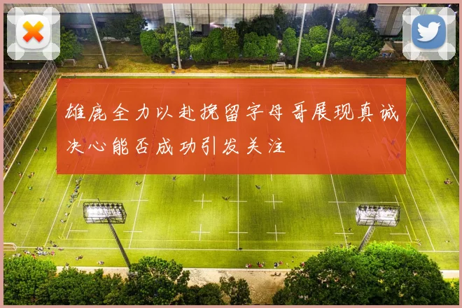 雄鹿全力以赴挽留字母哥展现真诚决心能否成功引发关注