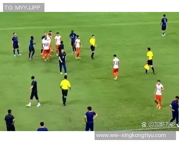 申花与首尔FC激战全场数据解析射门控球率对比引人关注